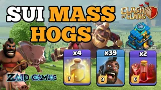 Sui Mass Hog Riders Attack Strategy - How to use mass hogs in war and legend league | Clash of Clans