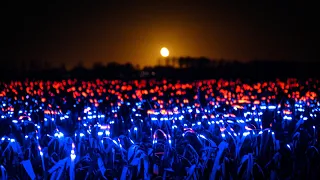 Daan Roosegaarde uses "light recipes" to show how agriculture could be more sustainable