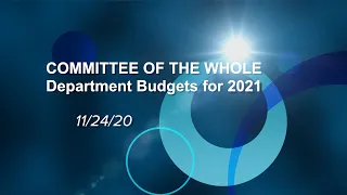 Committee of the Whole - Budgets for 2021