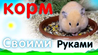 Корм СВОИМИ РУКАМИ сирийскому хомяку🐹 яХрумка