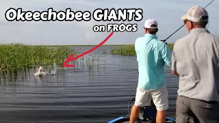 Frogging for GIANTS on Okeechobee - SMC TV EP1