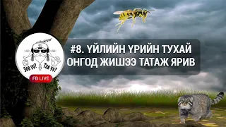 FACEBOOK LIVE #8. Үйлийн үрийн тухай Онгод жишээ татаж ярив