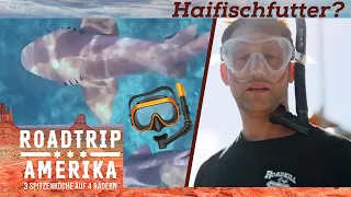 Ein "HAI-LIGHT" in Key West 🦈 Die Mutprobe der Extraklasse! | Roadtrip Amerika | Kabel Eins