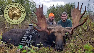 Maine Moose Hunting,  Richard's Successful Bow Hunt