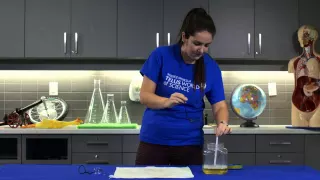 Science World Resources: Bubbles