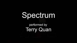 Spectrum - The closer you look, the less you see