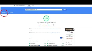 The Fastest WordPress site in the world -100 for mobile on Pagespeed Insights