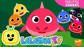 Five Little Baby Sharks | Nursery Rhymes & Kids Songs by Lalafan TV