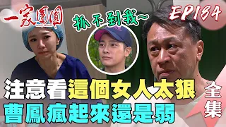 一家團圓 EP184 天賜阻止曹鳳搞事 承恩順利捐肝救兒｜Family Reunion｜完整版｜【巧奇回熱衣】