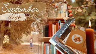 September Days🍁🕯- crisp early mornings, cozy book shopping, & my autumn children's book collection
