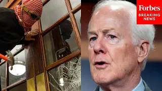 ‘Not Interested In Peaceful Protests’: John Cornyn Jabs At Violent Rioters On College Campuses
