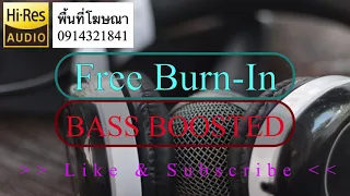 Burn In | เพลง เบิร์นหูฟัง,ลำโพง ได้ผล 100% (ครบทุกย่านความถี่เสียง) V.306