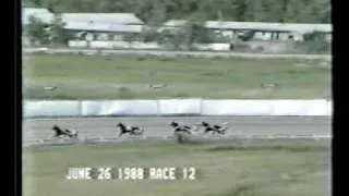 David Ingraham Attacks Track Record "Scarborough Downs" Open Trot MAINE ACCIDENT "Walter Case Jr"