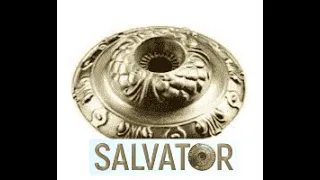 Артефакт Сальватор Круглый стол «Домен Жизни SALVATOR» 17.11. 2015г