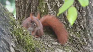 Tagträume🐿️Draußen Genießen