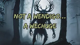 Scary Encounters with a Wechuge