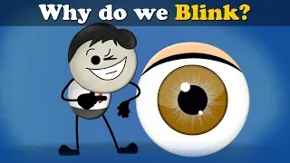 Why do we Blink? + more videos | #aumsum #kids #science #education #children