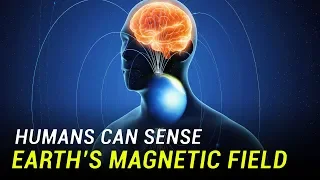 Humans Can Sense Earth’s Magnetic Field