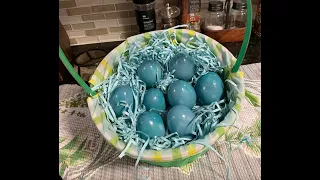 How to color Easter eggs naturally (blue) // Kako Ofarbati Uskrsna Jaja Prirodno u Plavo