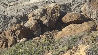 Neighbors concerned about cliff collapse in Pacific Beach