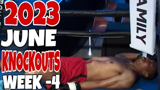 MMA & Boxing Knockouts I June 2023 Week 4