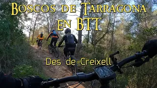 Boscos de Tarragona en BTT des de Creixell