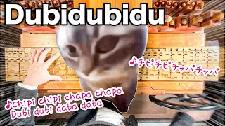 猫ミームで有名な【チピチピチャパチャパ】手回しオルガンで弾いてみた♪【Dubidubidu / christell】