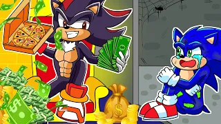RICH SHADOW vs POOR SONIC But in House! Sonic Sad Backstory | Sonic Adventures #2