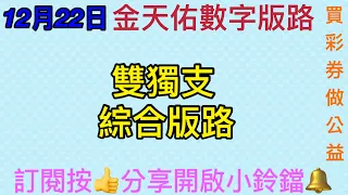 今彩539（12月22日）（2）雙獨支綜合版路分享，買彩券 做公益，請訂閱按👍開啟小鈴鐺🔔通知，感恩。