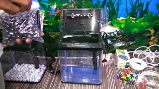 How to setup a small aquarium - try it yourself