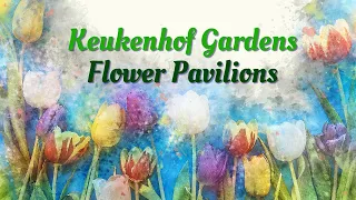 Keukenhof Gardens 2024 - Pavilions and Sections of the Park #keukenhof #holland #spring #tulips