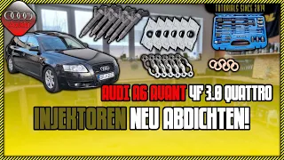 Audi A6 4F Quattro 3.0 TDI | is the enginge broken? nope! make it the easy way! 💪👨‍🔧