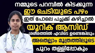 യൂറിക് ആസിഡ് | വീട്ടിൽ തന്നെ മാറ്റിയെടുക്കാൻ ഇങ്ങനെ ചെയ്തു നോക്കൂ | Uric acid