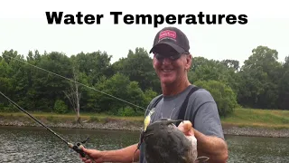 How Water Temperature Affects Fish