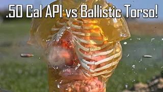 .50 Cal API vs Ballistic Torso! - Ballistic High-Speed