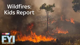 FYI: Weekly News Show - Wildfires: Kids Report