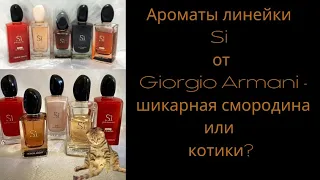 Ароматы линейки Si от Giorgio Armani - шикарная смородина или котики?