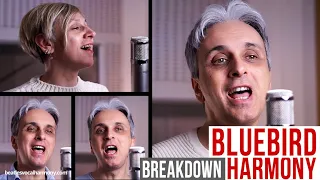 How to sing Bluebird Wings VOCAL HARMONY | Galeazzo Frudua