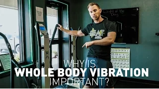 Why is Whole Body Vibration Important?