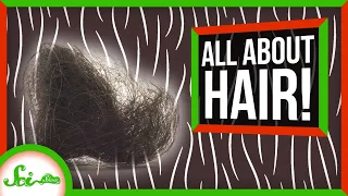 From Your Head to Your… Anus: The Truth About Hair | Compilation