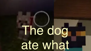 Talking kitty cat in Minecraft-54 the dog ate WHAT!