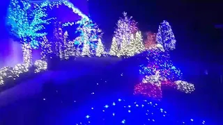 Washington D.C. Temple Festival of Lights 2018