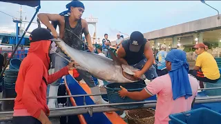 SOBRANG MURA NG ISDA NGAYON SA GENSAN FISHPORT | @jefteechannel213