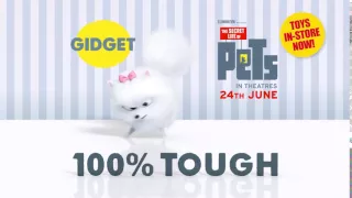 Smyths Toys - Secret Life Of Pets - Gidget