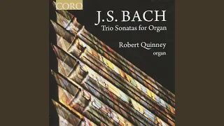 Organ Sonata No. 1 in E-Flat Major, BWV 525: II. Adagio
