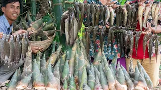 SPICY PICKLED 60KG of Bamboo Shoot with Deep Fried Clarias Macrocephalus Recipe - Cooking & Sharing