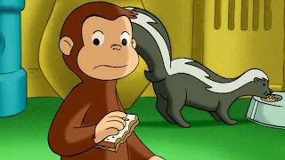 Non spaventare la puzzola! 🐵 Curioso Come George 🐵 Cartoni per Bambini