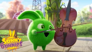 SUNNY BUNNIES - COUNTRY MUSICIANS - SEASON 7 HITS | Cartoons for Kids