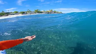 POV SURF - EPIC MORNING REEF WAVES