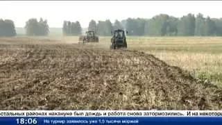 Аграрии Тюменской области - на финишной прямой посевной компании